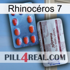 Rhinocéros 7 36